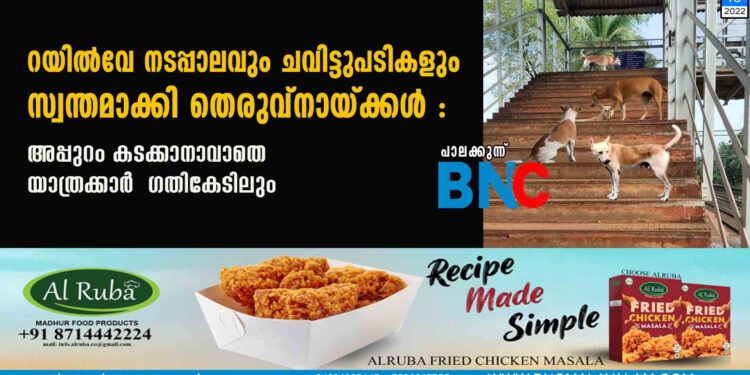 റയിൽവേ നടപ്പാലവും ചവിട്ടുപടികളും സ്വന്തമാക്കി തെരുവ്നായ്ക്കൾ : അപ്പുറം കടക്കാനാവാതെ യാത്രക്കാർ ഗതികേടിലും