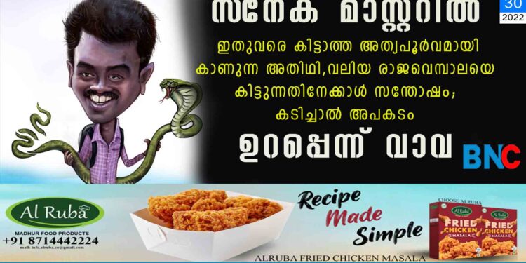 സ്‌നേക് മാസ്റ്ററിൽ ഇതുവരെ കിട്ടാത്ത അത്യപൂർവമായി കാണുന്ന അതിഥി, വലിയ രാജവെമ്പാലയെ കിട്ടുന്നതിനേക്കാൾ സന്തോഷം; കടിച്ചാൽ അപകടം ഉറപ്പെന്ന് വാവ