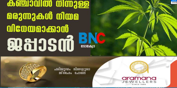 കഞ്ചാവിൽ നിന്നുള്ള മരുന്നുകൾ നിയമ വിധേയമാക്കാൻ ജപ്പാൻ