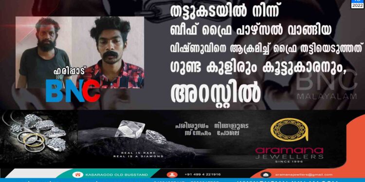 തട്ടുകടയിൽ നിന്ന് ബീഫ് ഫ്രൈ പാഴ്സൽ വാങ്ങിയ വിഷ്ണുവിനെ ആക്രമിച്ച് ഫ്രൈ തട്ടിയെടുത്തത് ഗുണ്ട കുളിരും കൂട്ടുകാരനും, അറസ്റ്റിൽ