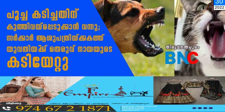 പൂച്ച കടിച്ചതിന് കുത്തിവയ്‌പ്പെടുക്കാൻ വന്നു; സർക്കാർ ആശുപത്രിയ്ക്കകത്ത് യുവതിയ്‌ക്ക് തെരുവ് നായയുടെ കടിയേറ്റു