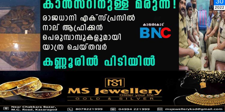 കാൻസറിനുള്ള മരുന്ന്! രാജധാനി എക്സ്പ്രസിൽ നാല് ആഫ്രിക്കൻ പെരുമ്പാമ്പുകളുമായി യാത്ര ചെയ്തവർ കണ്ണൂരിൽ പിടിയിൽ