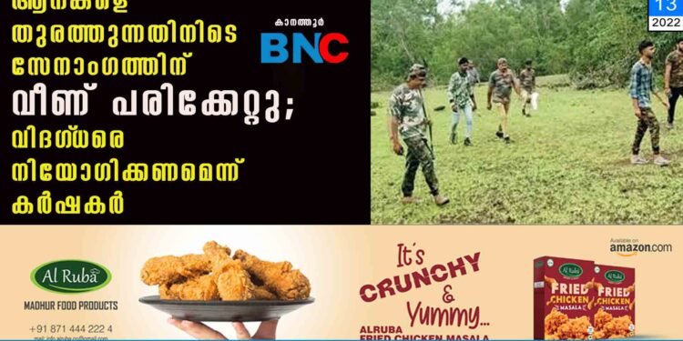 ആനകളെ തുരത്തുന്നതിനിടെ സേനാംഗത്തിന് വീണ് പരിക്കേറ്റു; വിദഗ്‌ധരെ നിയോഗിക്കണമെന്ന് കർഷകർ