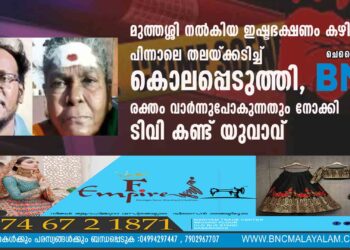 മുത്തശ്ശി നൽകിയ ഇഷ്ടഭക്ഷണം കഴിച്ചു, പിന്നാലെ തലയ്ക്കടിച്ച് കൊലപ്പെടുത്തി, രക്തം വാർന്നുപോകുന്നതും നോക്കി ടിവി കണ്ട് യുവാവ്