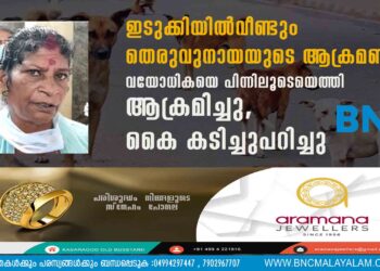 ഇടുക്കിയില്‍‌ വീണ്ടും തെരുവുനായയുടെ ആക്രമണം; വയോധികയെ പിന്നിലൂടെയെത്തി ആക്രമിച്ചു, കൈ കടിച്ചുപറിച്ചു