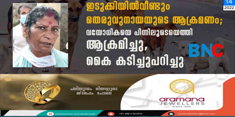 ഇടുക്കിയില്‍‌ വീണ്ടും തെരുവുനായയുടെ ആക്രമണം; വയോധികയെ പിന്നിലൂടെയെത്തി ആക്രമിച്ചു, കൈ കടിച്ചുപറിച്ചു