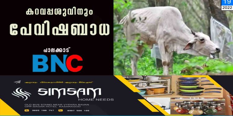 കറവപ്പശുവിനും പേവിഷബാധ