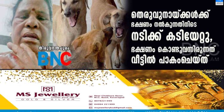 തെരുവുനായ്ക്കൾക്ക് ഭക്ഷണം നൽകുന്നതിനിടെ നടിക്ക് കടിയേറ്റു, ഭക്ഷണം കൊണ്ടുവന്നിരുന്നത് വീട്ടിൽ പാകംചെയ്ത്