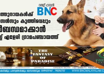 വളര്‍ത്തുനായകള്‍ക്ക് ലൈസന്‍സും കുത്തിവെപ്പും നിര്‍ബന്ധമാക്കാന്‍ വെസ്റ്റ് എളേരി ഗ്രാമപഞ്ചായത്ത്