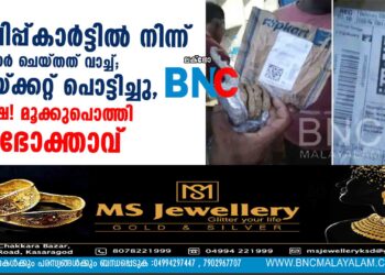 ഫ്ലിപ്പ്‍കാര്‍ട്ടില്‍ നിന്ന് ഓര്‍ഡര്‍ ചെയ്തത് വാച്ച്; പായ്ക്കറ്റ് പൊട്ടിച്ചു, പക്ഷേ! മൂക്കുപൊത്തി ഉപഭോക്താവ്