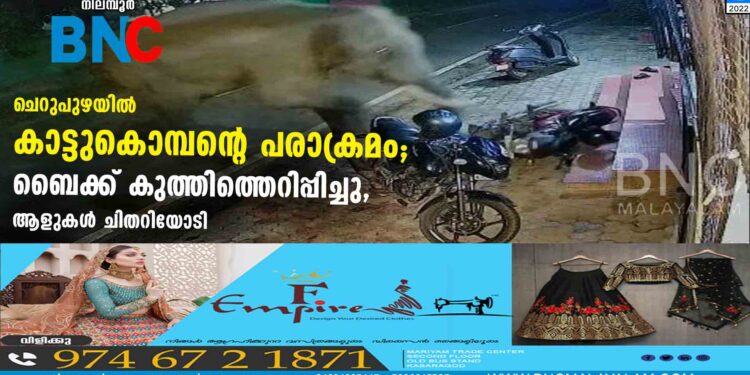 ചെറുപുഴയില്‍ കാട്ടുകൊമ്പന്റെ പരാക്രമം; ബൈക്ക് കുത്തിത്തെറിപ്പിച്ചു, ആളുകള്‍ ചിതറിയോടി