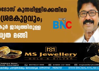 എല്‍ദോസ് കുന്നപ്പിള്ളിക്കെതിരേ വധശ്രമകുറ്റവും; മുന്‍കൂര്‍ ജാമ്യത്തിനുള്ള സാധ്യത മങ്ങി