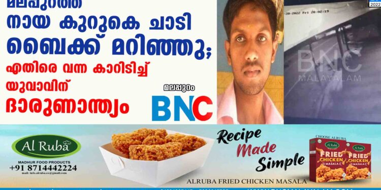 മലപ്പുറത്ത് നായ കുറുകെ ചാടി ബൈക്ക് മറിഞ്ഞു; എതിരെ വന്ന കാറിടിച്ച് യുവാവിന് ദാരുണാന്ത്യം