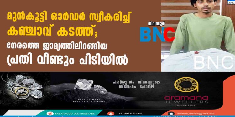 മുന്‍കൂട്ടി ഓര്‍ഡര്‍ സ്വീകരിച്ച് കഞ്ചാവ് കടത്ത്; നേരത്തെ ജാമ്യത്തിലിറങ്ങിയ പ്രതി വീണ്ടും പിടിയില്‍