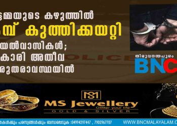 വീട്ടമ്മയുടെ കഴുത്തിൽ കമ്പ് കുത്തിക്കയറ്റി അയൽവാസികൾ; 50കാരി അതീവ ഗുരുതരാവസ്ഥയിൽ