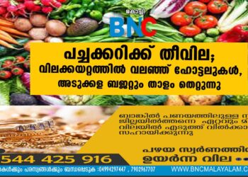 പച്ചക്കറിക്ക് തീവില; വിലക്കയറ്റത്തിൽ വലഞ്ഞ് ഹോട്ടലുകൾ, അടുക്കള ബജറ്റും താളം തെറ്റുന്നു