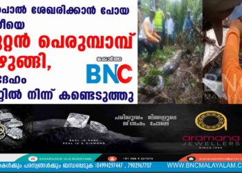 റബ്ബർപാൽ ശേഖരിക്കാൻ പോയ സ്ത്രീയെ കൂറ്റൻ പെരുമ്പാമ്പ് വിഴുങ്ങി, മൃതദേഹം വയറ്റിൽ നിന്ന് കണ്ടെടുത്തു