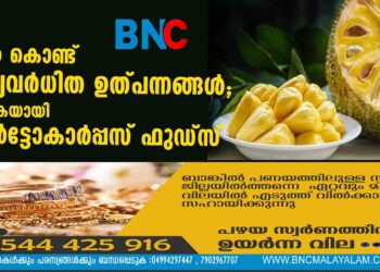 ചക്ക കൊണ്ട് മൂല്യവർധിത ഉത്പന്നങ്ങൾ; മാതൃകയായി ആർട്ടോകാർപ്പസ് ഫുഡ്സ്