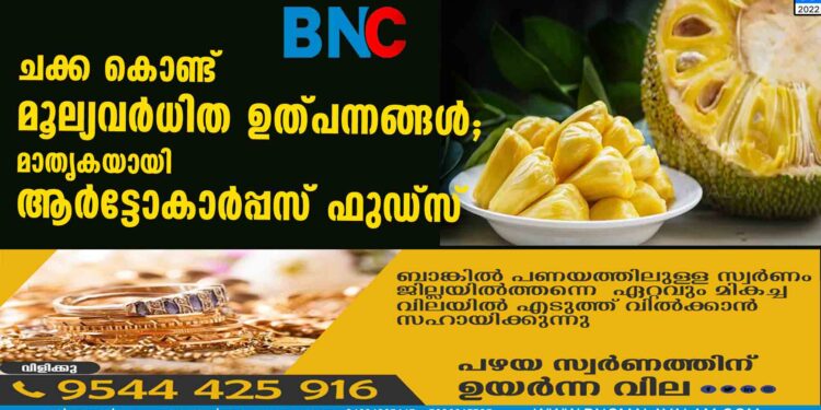 ചക്ക കൊണ്ട് മൂല്യവർധിത ഉത്പന്നങ്ങൾ; മാതൃകയായി ആർട്ടോകാർപ്പസ് ഫുഡ്സ്