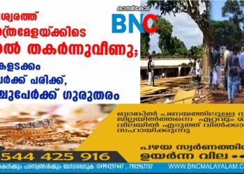 മഞ്ചേശ്വരത്ത് ശാസ്‌ത്രമേളയ്‌ക്കിടെ പന്തൽ തകർന്നുവീണു; കുട്ടികളടക്കം 40 പേർക്ക് പരിക്ക്, അഞ്ചുപേർക്ക് ഗുരുതരം