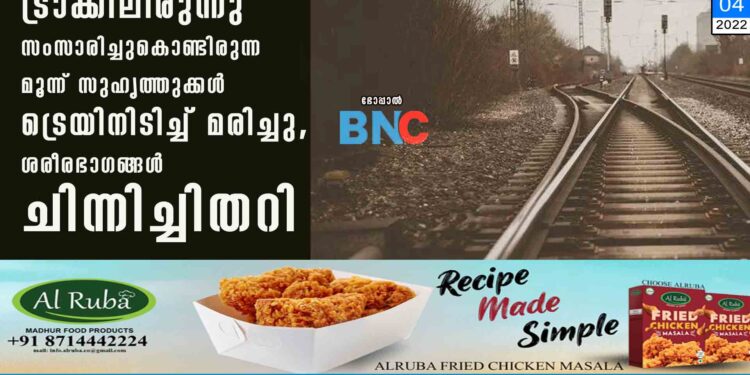 ട്രാക്കിലിരുന്നു സംസാരിച്ചുകൊണ്ടിരുന്ന മൂന്ന് സുഹൃത്തുക്കൾ ട്രെയിനിടിച്ച് മരിച്ചു, ശരീരഭാഗങ്ങൾ ചിന്നിച്ചിതറി