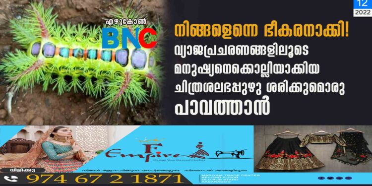 നിങ്ങളെന്നെ ഭീകരനാക്കി! വ്യാജപ്രചരണങ്ങളിലൂടെ മനുഷ്യനെക്കൊല്ലിയാക്കിയ ചിത്രശലഭപ്പുഴു ശരിക്കുമൊരു പാവത്താൻ