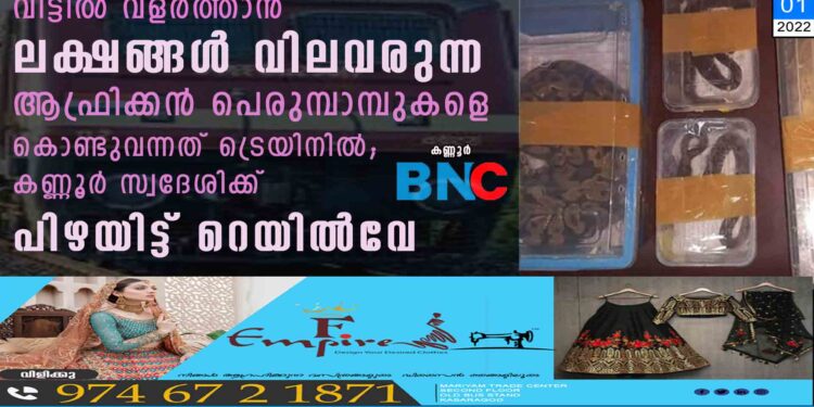 വീട്ടിൽ വളർത്താൻ ലക്ഷങ്ങൾ വിലവരുന്ന ആഫ്രിക്കൻ പെരുമ്പാമ്പുകളെ കൊണ്ടുവന്നത് ട്രെയിനിൽ; കണ്ണൂർ സ്വദേശിക്ക് പിഴയിട്ട് റെയിൽവേ