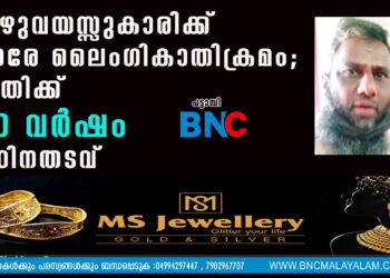 ഏഴുവയസ്സുകാരിക്ക് നേരേ ലൈംഗികാതിക്രമം; പ്രതിക്ക് 20 വര്‍ഷം കഠിനതടവ്