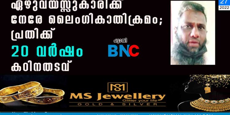 ഏഴുവയസ്സുകാരിക്ക് നേരേ ലൈംഗികാതിക്രമം; പ്രതിക്ക് 20 വര്‍ഷം കഠിനതടവ്