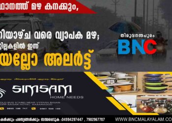 സംസ്ഥാനത്ത് മഴ കനക്കും, ശനിയാഴ്ച വരെ വ്യാപക മഴ; 13 ജില്ലകളിൽ ഇന്ന് യെല്ലോ അലർട്ട്