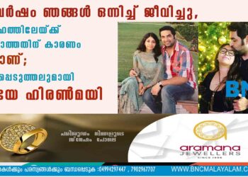 14 വർഷം ഞങ്ങൾ ഒന്നിച്ച് ജീവിച്ചു, വിവാഹത്തിലേയ്ക്ക് എത്താത്തതിന് കാരണം ഇതാണ്; വെളിപ്പെടുത്തലുമായി അഭയ ഹിരൺമയി