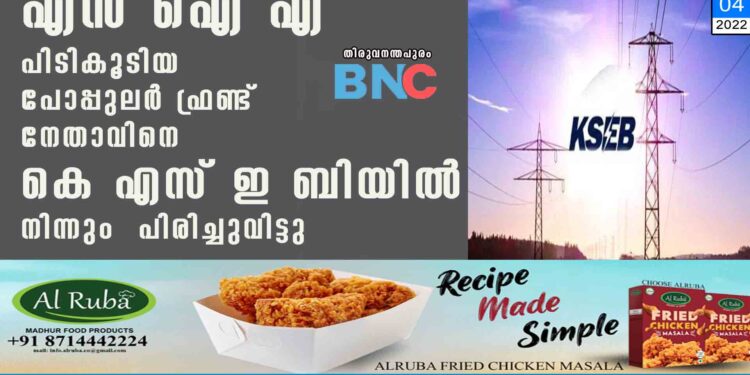 എൻ ഐ എ പിടികൂടിയ പോപ്പുലർ ഫ്രണ്ട് നേതാവിനെ കെ എസ് ഇ ബിയിൽ നിന്നും പിരിച്ചുവിട്ടു