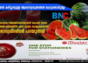 തണ്ണിമത്തൻ കഴിച്ചാലുള്ള ആരോ​ഗ്യ​ഗുണങ്ങൾ ചെറുതൊന്നുമല്ല