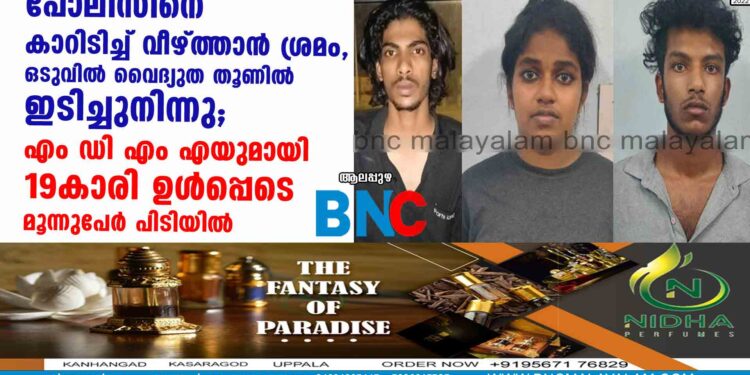 പോലീസിനെ കാറിടിച്ച് വീഴ്ത്താൻ ശ്രമം, ഒടുവിൽ വൈദ്യുത തൂണിൽ ഇടിച്ചുനിന്നു; എം ഡി എം എയുമായി 19കാരി ഉൾപ്പെടെ മൂന്നുപേർ പിടിയിൽ