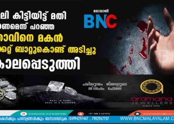 ജോലി കിട്ടിയിട്ട് മതി കല്യാണമെന്ന് പറഞ്ഞ മാതാവിനെ മകൻ ക്രിക്കറ്റ് ബാറ്റുകൊണ്ട് അടിച്ചു കൊലപ്പെടുത്തി