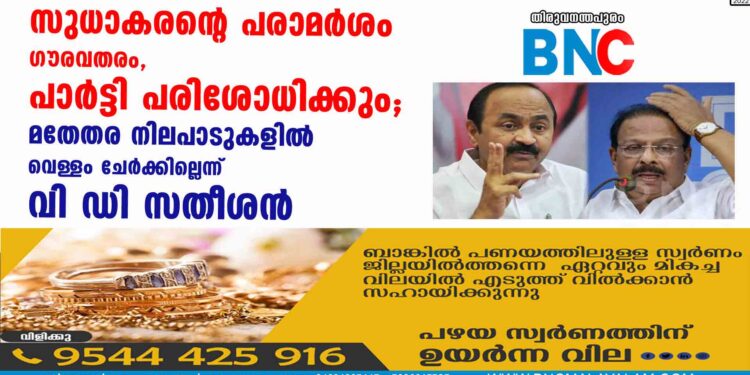 സുധാകരന്റെ പരാമർശം ഗൗരവതരം, പാർട്ടി പരിശോധിക്കും; മതേതര നിലപാടുകളിൽ വെള്ളം ചേർക്കില്ലെന്ന് വി ഡി സതീശൻ