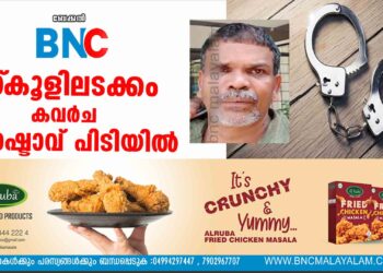 സ്‌കൂളിലടക്കം കവർച  ;  മോഷ്ടാവ് പിടിയിൽ