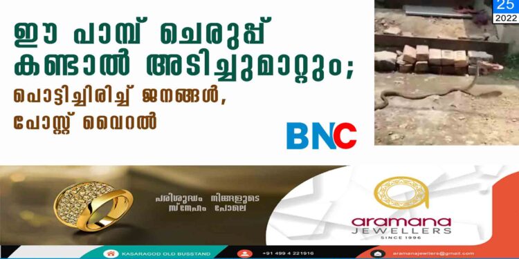 ഈ പാമ്പ് ചെരുപ്പ് കണ്ടാൽ അടിച്ചുമാറ്റും; പൊട്ടിച്ചിരിച്ച് ജനങ്ങൾ,​​ പോസ്റ്റ് വെെറൽ