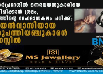 ഉത്തർപ്രദേശിൽ ഒന്നരവയസുകാരിയെ പീഡിപ്പിക്കാൻ ശ്രമം, കുഞ്ഞിന്റെ ദേഹമാസകലം പരിക്ക്; അയൽവാസിയായ ഇരുപത്തിയഞ്ചുകാരൻ അറസ്റ്റിൽ