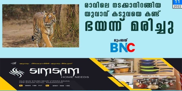 രാവിലെ നടക്കാനിറങ്ങിയ യുവാവ് കടുവയെ കണ്ട് ഭയന്ന് മരിച്ചു