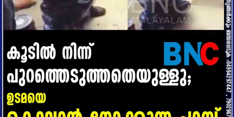 കൂടിൽ നിന്ന് പുറത്തെടുത്തതെയുള്ളു; ഉടമയെ കൊല്ലാൻ നോക്കുന്ന പാമ്പ്