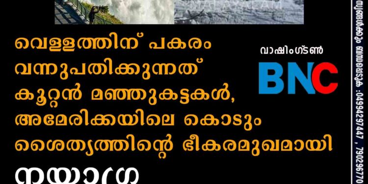 വെള്ളത്തിന് പകരം വന്നുപതിക്കുന്നത് കൂറ്റൻ മഞ്ഞുകട്ടകൾ, അമേരിക്കയിലെ കൊടും ശൈത്യത്തിന്റെ ഭീകരമുഖമായി നയാഗ്ര