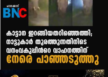 കാട്ടാന ഇറങ്ങിയതറിഞ്ഞെത്തി; നാട്ടുകാര്‍ തുരത്തുന്നതിനിടെ വനംവകുപ്പിന്‍റെ വാഹനത്തിന് നേരെ പാഞ്ഞടുത്തു