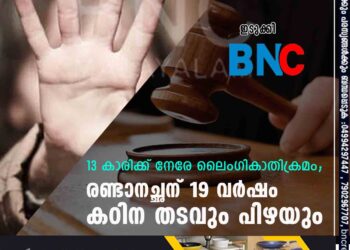 13 കാരിക്ക് നേരേ ലൈംഗികാതിക്രമം; രണ്ടാനച്ഛന് 19 വർഷം കഠിന തടവും പിഴയും