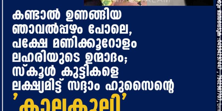 കണ്ടാൽ ഉണങ്ങിയ ഞാവൽപ്പഴം പോലെ, പക്ഷേ മണിക്കൂറോളം ലഹരിയുടെ ഉന്മാദം; സ്കൂൾ കുട്ടികളെ ലക്ഷ്യമിട്ട് സദ്ദാം ഹുസൈന്റെ 'കാലകൂലി'