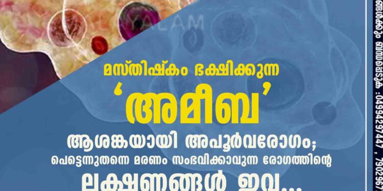 മസ്‌തിഷ്‌കം ഭക്ഷിക്കുന്ന അമീബ', ആശങ്കയായി അപൂ‌ർവരോഗം; പെട്ടെന്നുതന്നെ മരണം സംഭവിക്കാവുന്ന രോഗത്തിന്റെ ലക്ഷണങ്ങൾ ഇവ ...