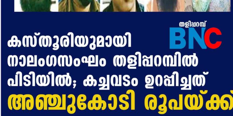 കസ്തൂരിയുമായി നാലംഗസംഘം തളിപ്പറമ്പില്‍ പിടിയില്‍; കച്ചവടം ഉറപ്പിച്ചത് അഞ്ചുകോടി രൂപയ്ക്ക്