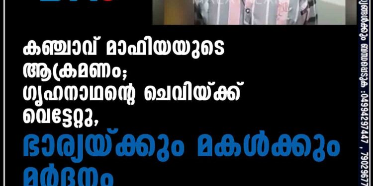 കഞ്ചാവ് മാഫിയയുടെ ആക്രമണം; ഗൃഹനാഥന്റെ ചെവിയ്ക്ക് വെട്ടേറ്റു, ഭാര്യയ്ക്കും മകള്‍ക്കും മര്‍ദനം