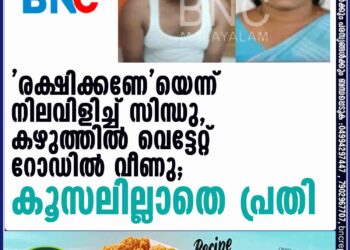 'രക്ഷിക്കണേ'യെന്ന് നിലവിളിച്ച് സിന്ധു, കഴുത്തില്‍ വെട്ടേറ്റ് റോഡില്‍ വീണു; കൂസലില്ലാതെ പ്രതി