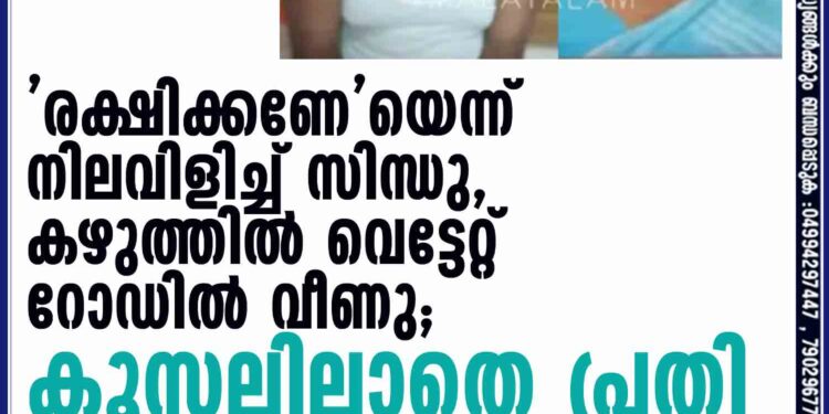 'രക്ഷിക്കണേ'യെന്ന് നിലവിളിച്ച് സിന്ധു, കഴുത്തില്‍ വെട്ടേറ്റ് റോഡില്‍ വീണു; കൂസലില്ലാതെ പ്രതി